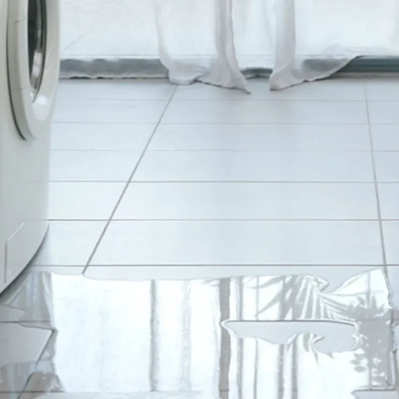 Appliance Leak Cleanup in Dane County, WI