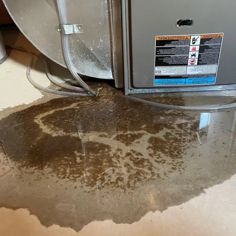 Pipe Burst and Leak Restoration in Dane County, WI